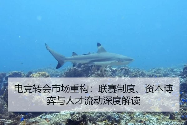 电竞转会市场重构：联赛制度、资本博弈与人才流动深度解读