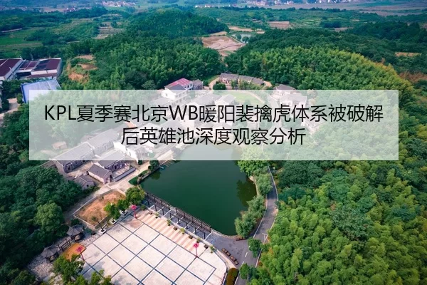 KPL夏季赛北京WB暖阳裴擒虎体系被破解后英雄池深度观察分析